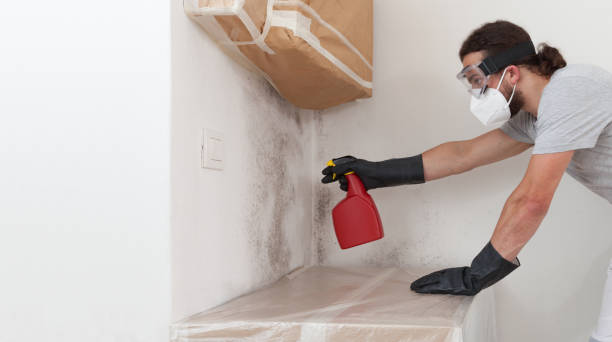 Professional Crawl Space Mold Removal technician working in Mount Royal, NJ